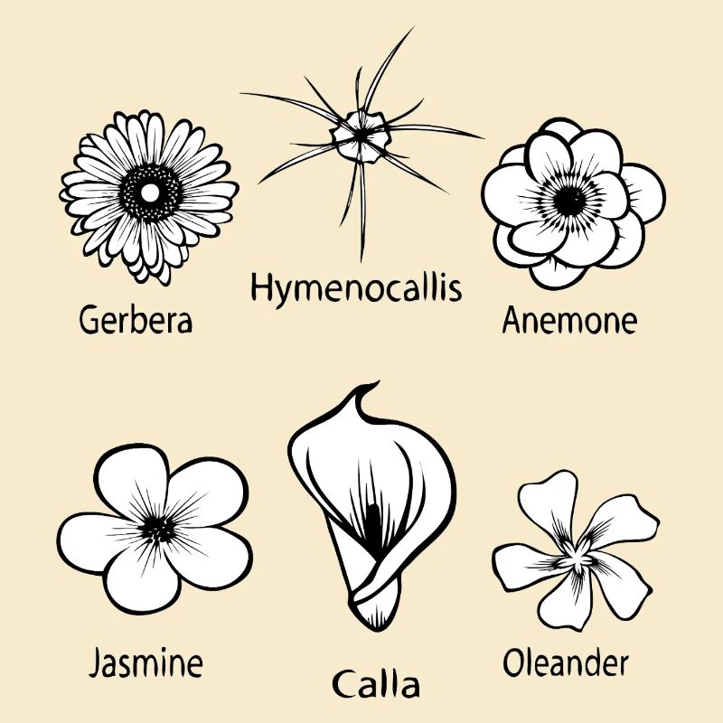 Types de fleurs