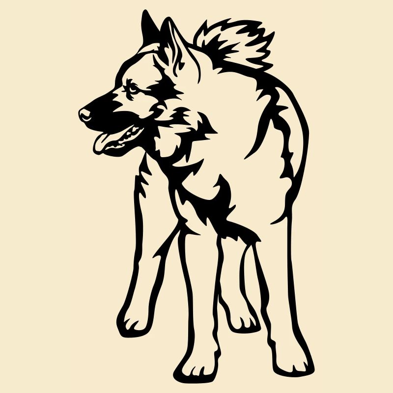 Norwegischer Elchhund