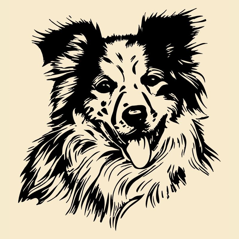 Aussie Australian Shepherd