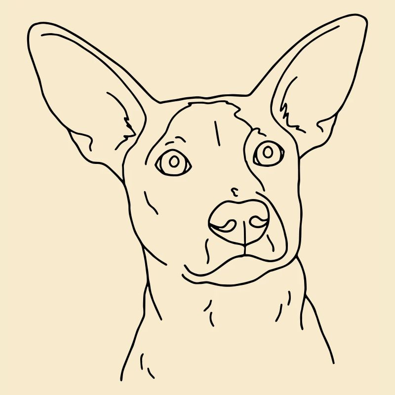 chien