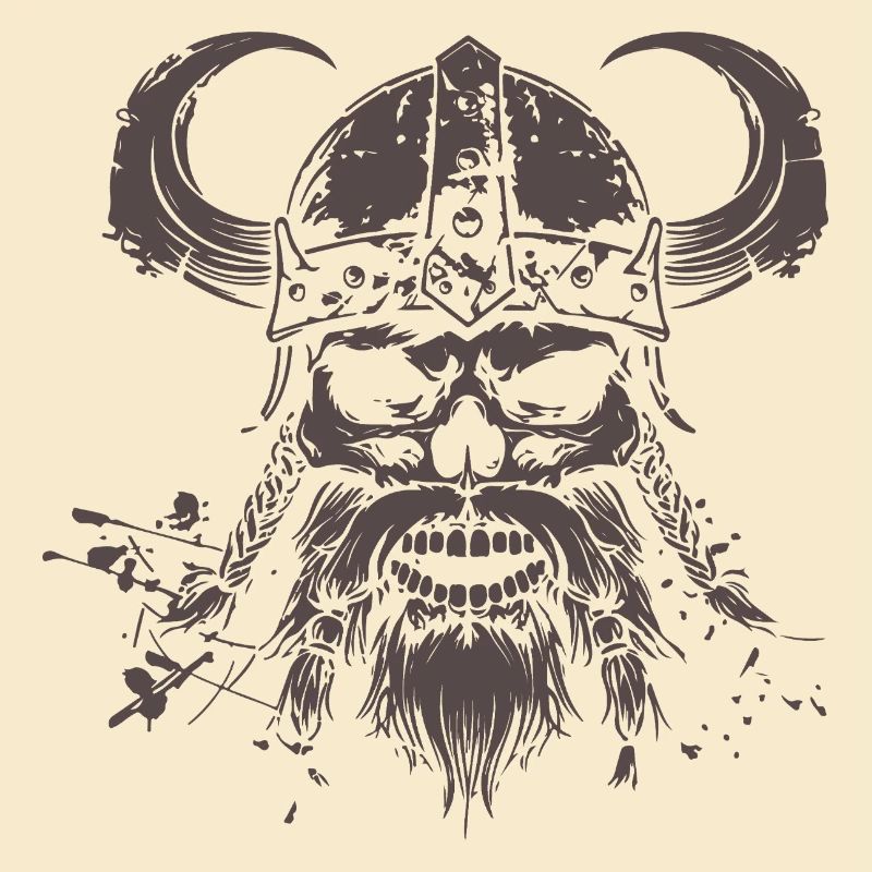 wikinger skull 1