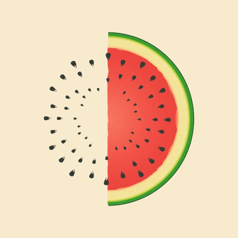 Melon d’eau