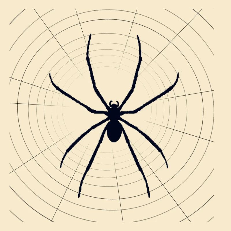 Spinne Spider jungen Pullover