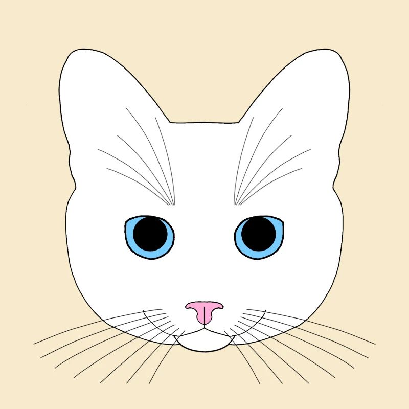 Chat blanc