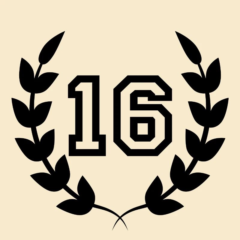 16th birthday-gift idea 16 years