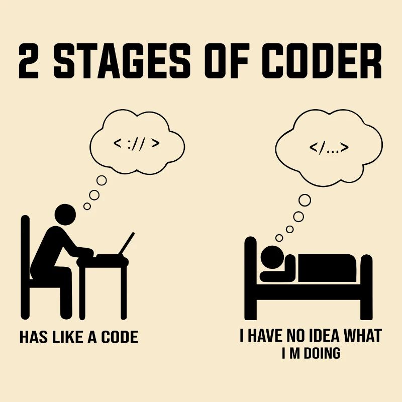 2 Stufen des Programmierers - Geschenkidee Humor Code Codierung