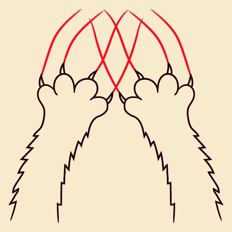 Chats, Griffes, Pattes, Pattes, Griffes, Griffures, Rayures