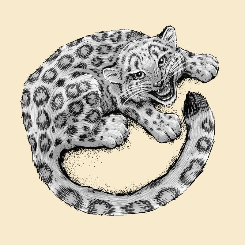 Bébé léopard des neiges