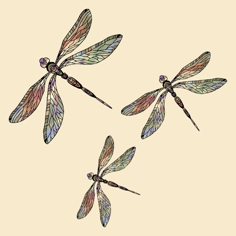 Libellules