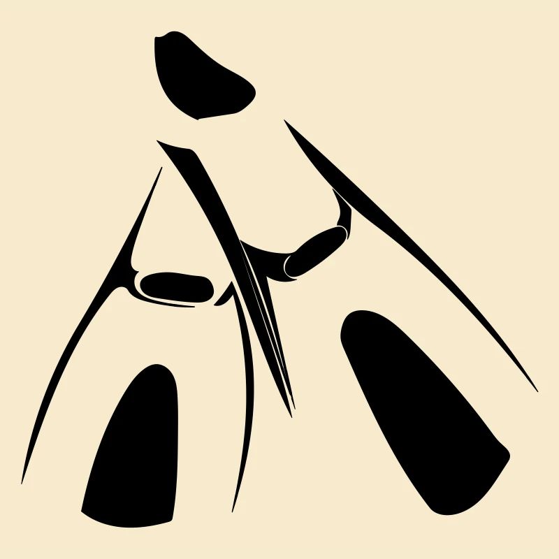 ailerons