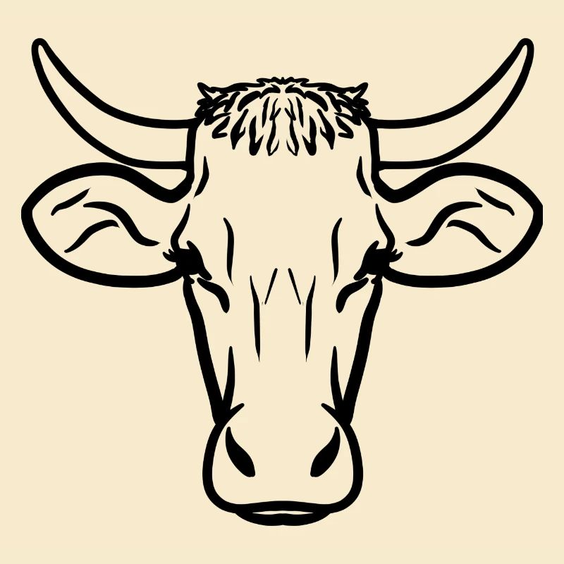 Kuh schwarz