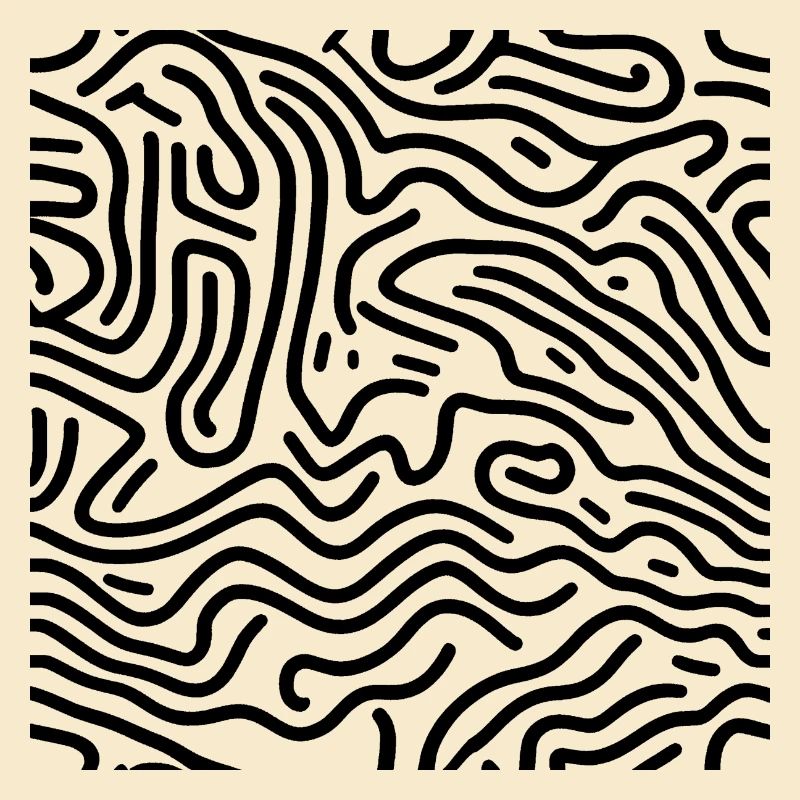 noir et blanc - lignes design