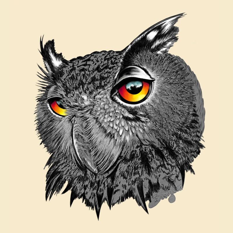 Uhu/Bubo Bubo/Owl