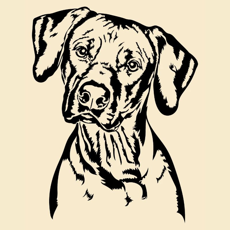 RHODESIAN RIDGEBACK Hunde Portrait Wilsigns