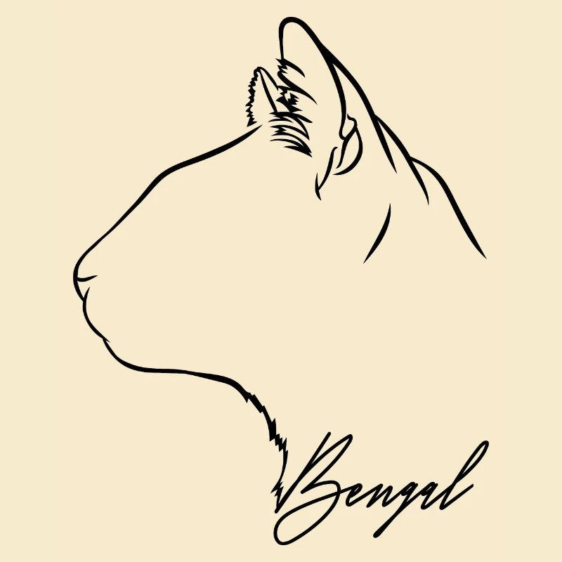 Bengal Profil Chats Chat Wilsigns