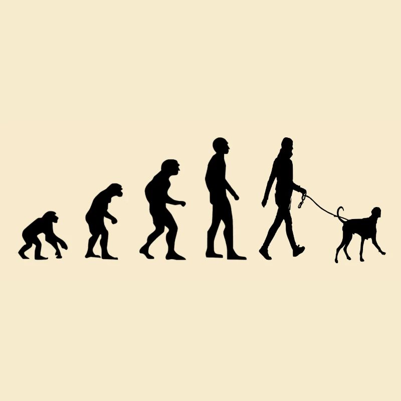 Évolution du chien propriétaire de chien
