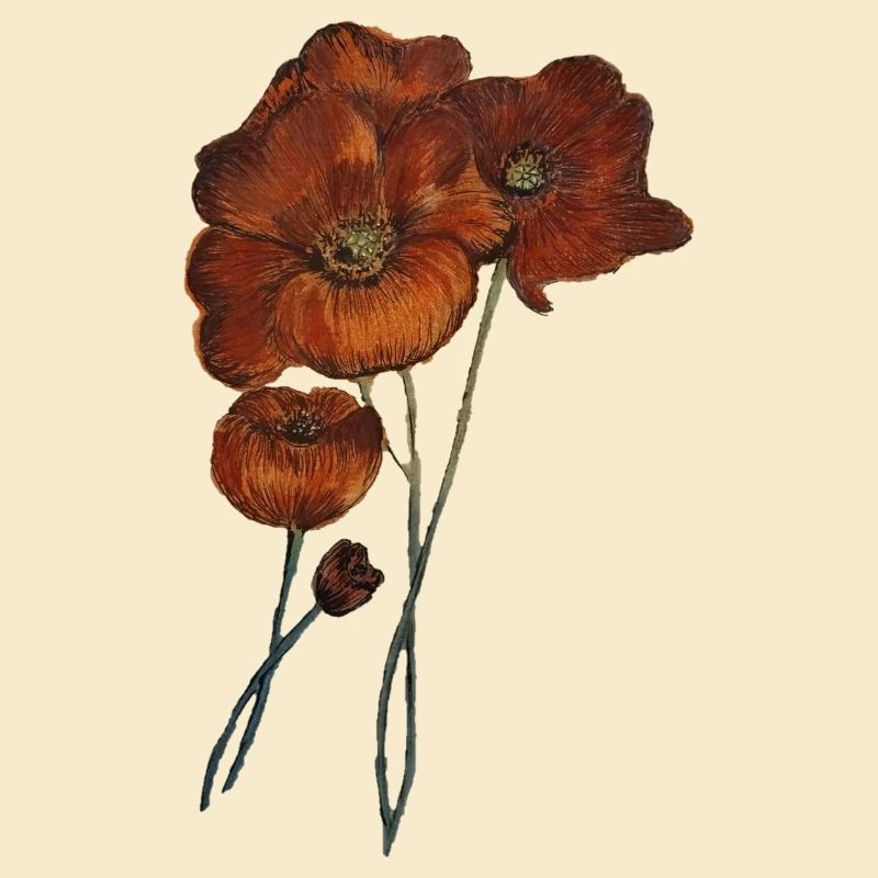 COQUELICOTS
