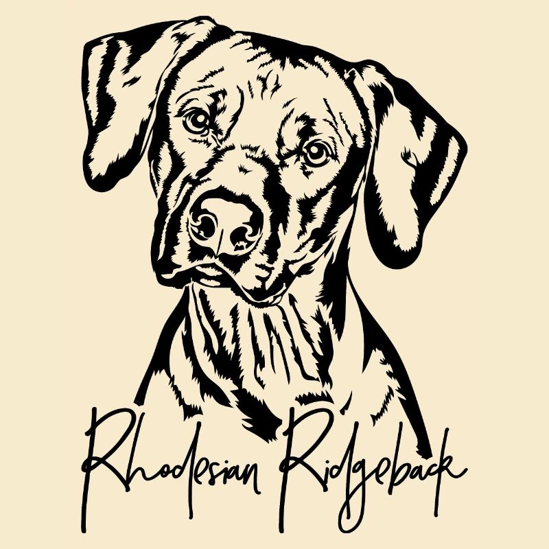 RHODESIAN RIDGEBACK Hunde Portrait Wilsigns