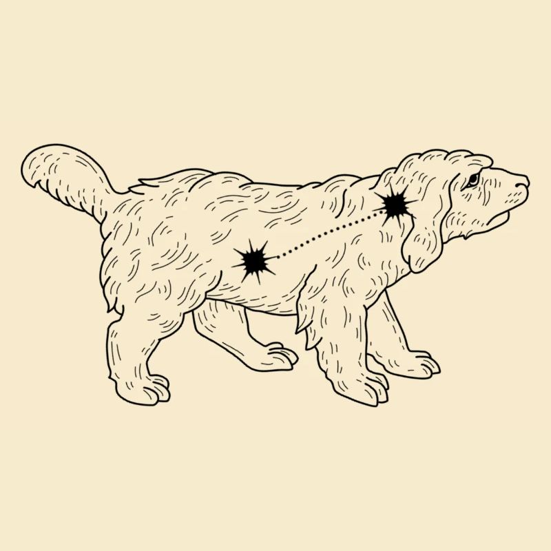 Constellation