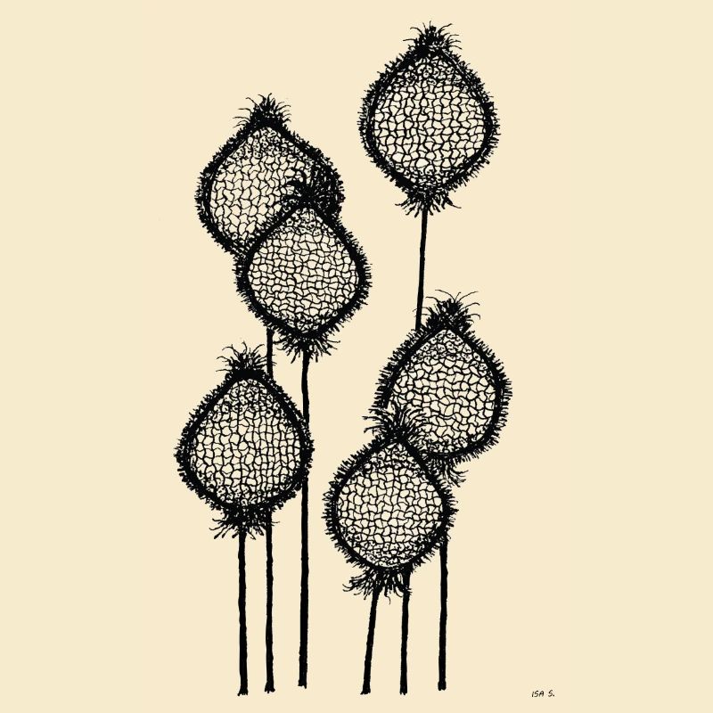 Mohnknospen oder Ananas am Stiel? Schwarz abstrakt