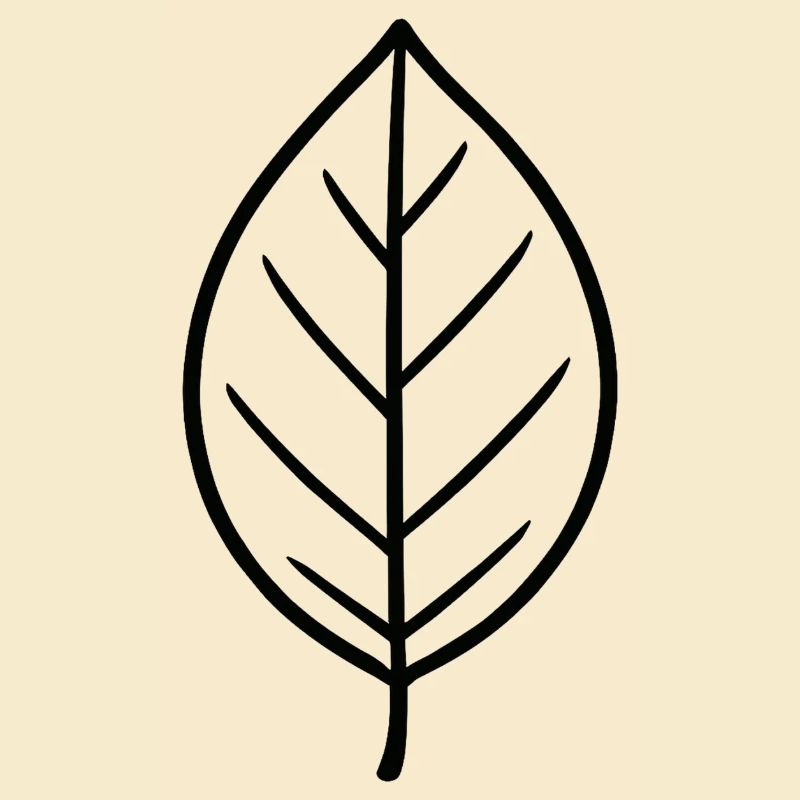 Conception à lignes de feuilles noires
