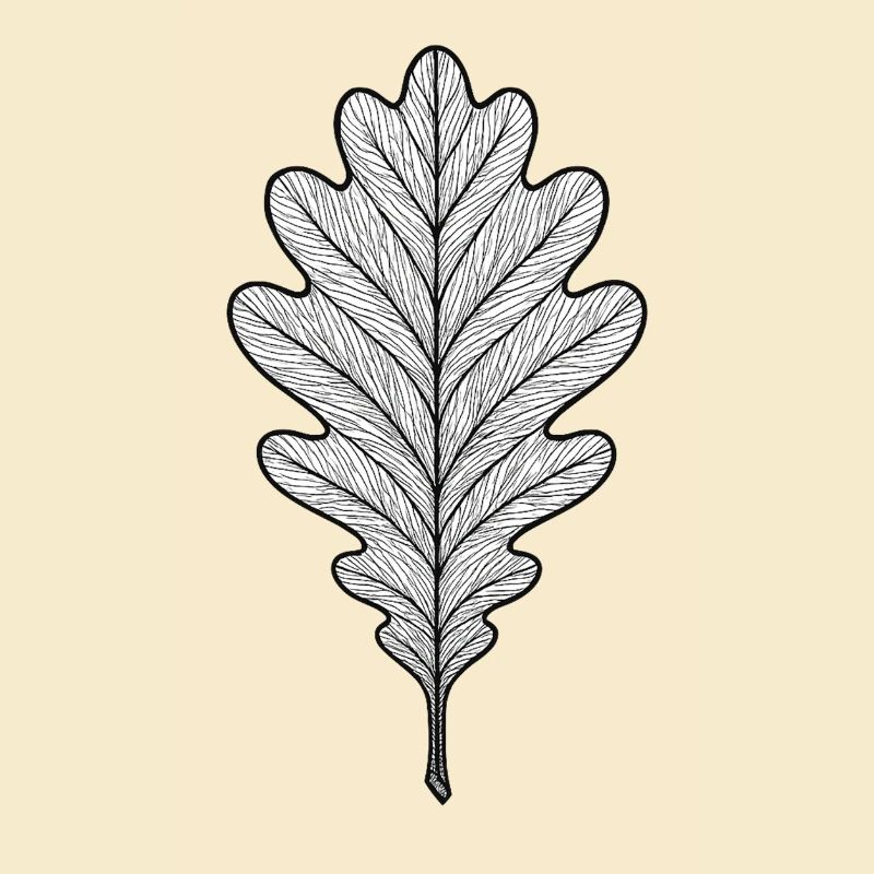Monochromes Eichenblatt-Design
