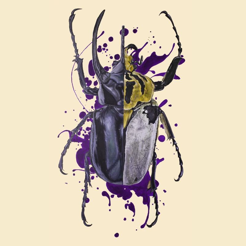 Coleoptera Käferkäfer Insekt