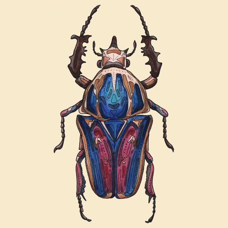 Big Beetle Stag - cerf géant