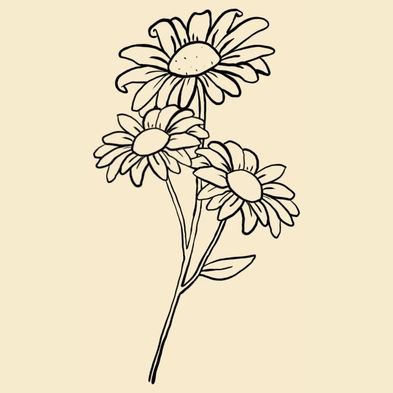 Gänseblümchen / Daisy