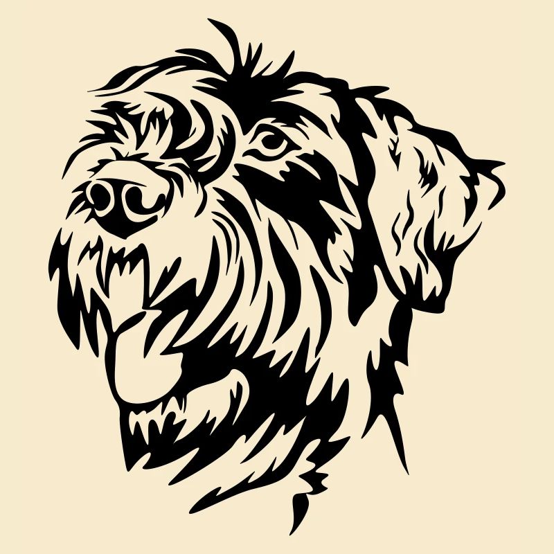 Tête de schnauzer géant