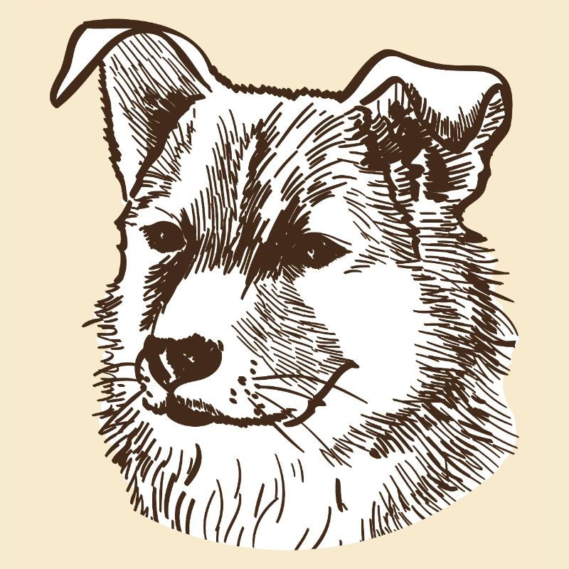 Chien