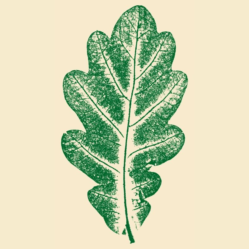 Eichenblatt Grün - Monocolor - Blatt/Eiche/ Baum