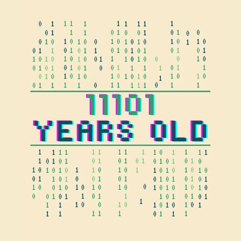 29th Birthday 29 years old Binary Code Coder