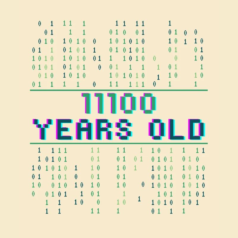 28. Geburtstag 28 Jahre alt Binärcode Coder