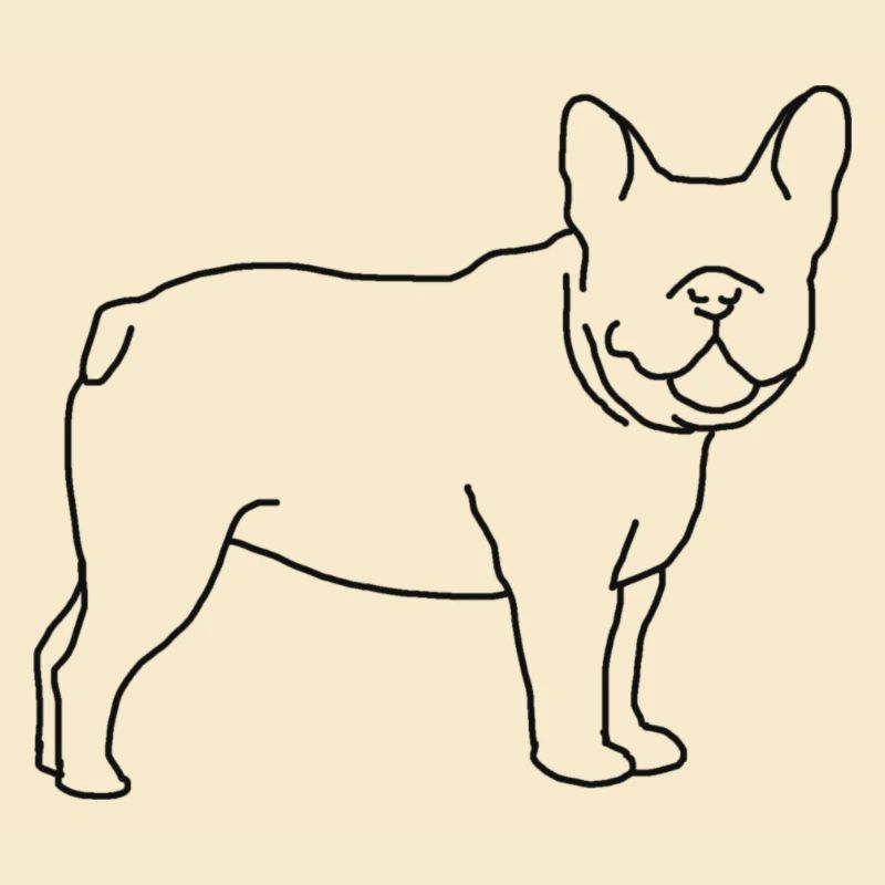 Frenchie