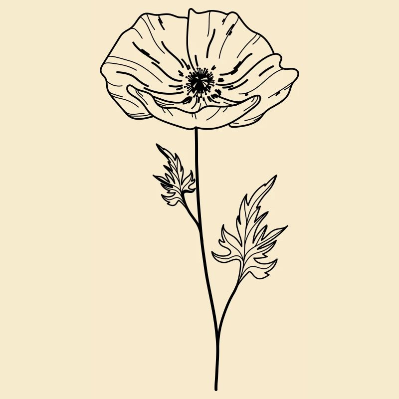Fleur de coquelicot 13 Plan de travail 5