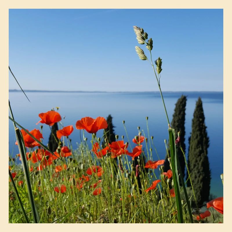Gardasee