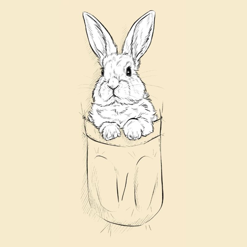 cute rabbit in bag