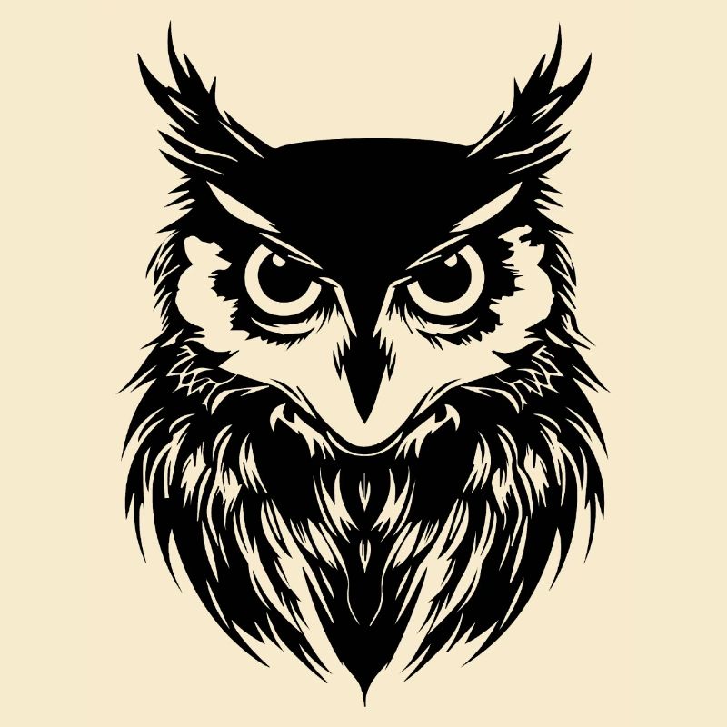 Eule Eulen Vogel Vögel