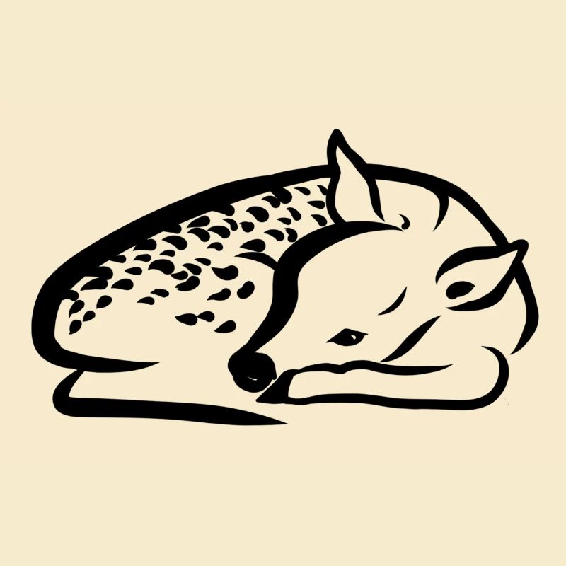 Faon couché