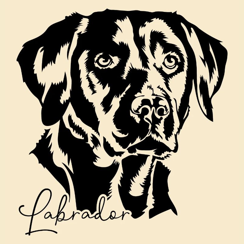 LABRADOR RETRIEVER Hunde Hund Labbi Wilsigns
