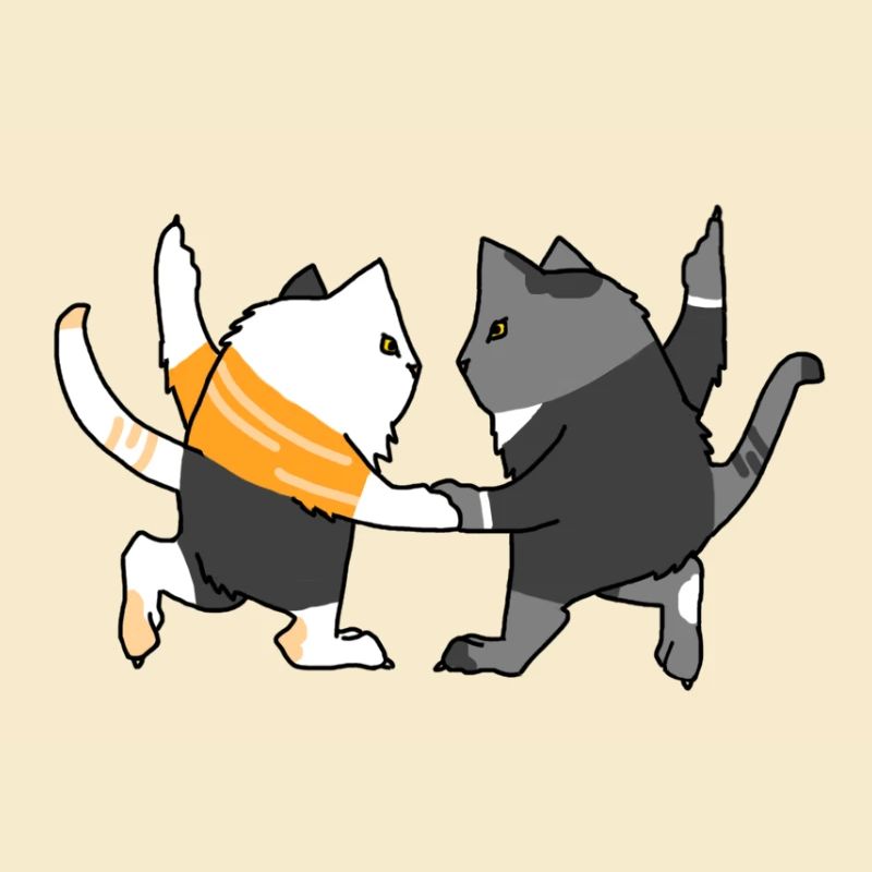 Chats dansants