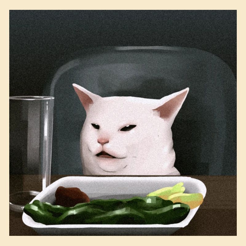 same cat