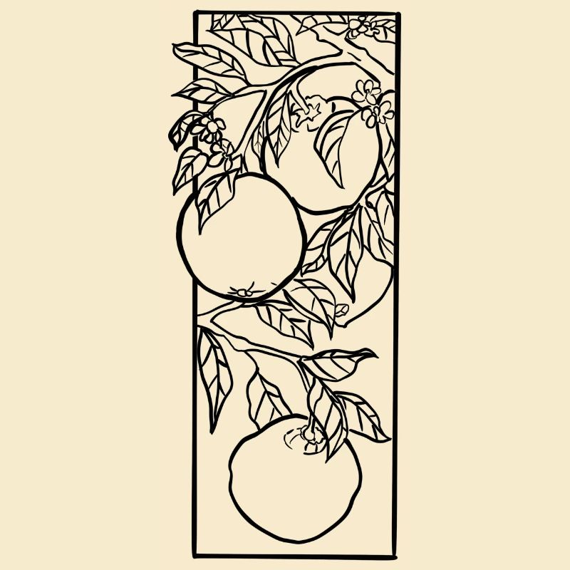 Oranges