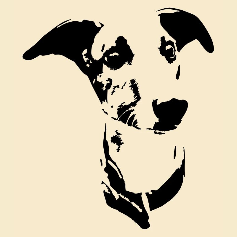Whippet head