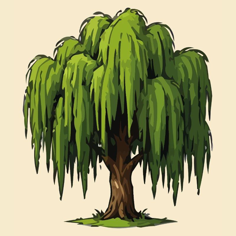 Weeping Willow Graphic
