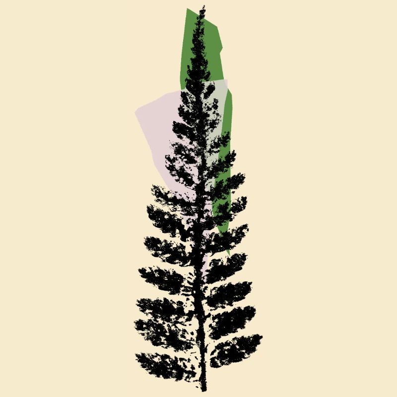 Feuille