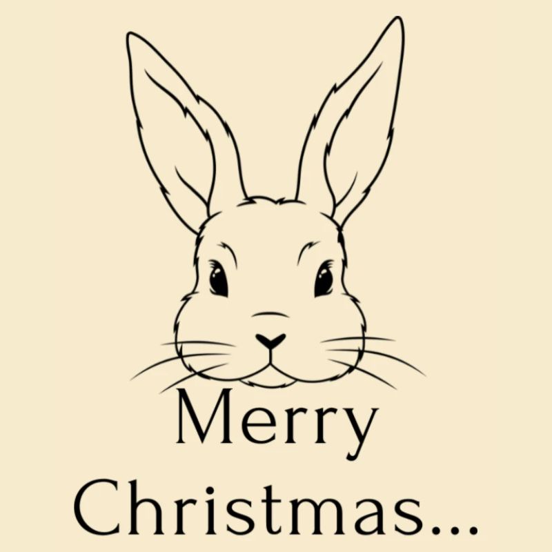 Lapin de Noël / Noël