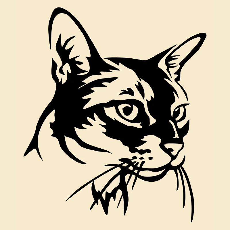 Abessiner Katze