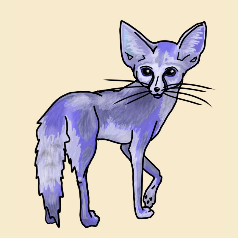 Magical Desert Fox, Blue